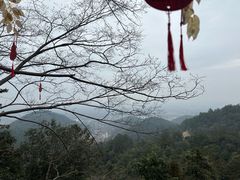 -灵顺寺