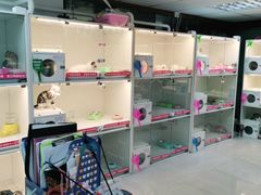 -lincat·猫舍(广州店)
