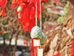 -隆兴寺