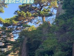 -黄山风景区