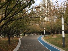 -苏州河梦清园环保主题公园