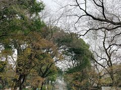 -西园戒幢律寺