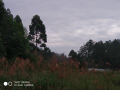 -保利石象湖景区
