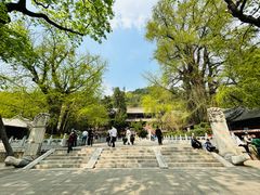 -潭柘寺景区