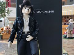 -济州岛泰迪熊博物馆