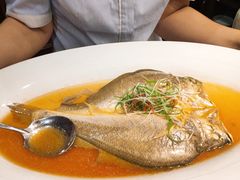 大黄鱼清蒸-麟1929(外滩店)