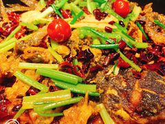 -老板恋上鱼(恒隆广场店)