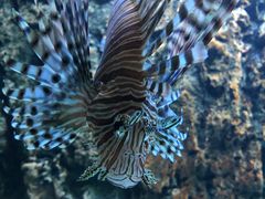 -北戴河圣蓝海洋公园