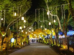 -横店影视城梦幻谷园区