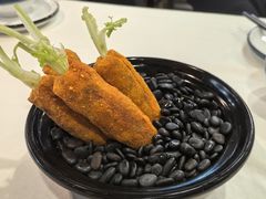 -丁老爷子苏香圆