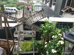 大堂-花间禅净·瑜伽