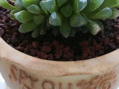 -老码头火锅(骡马市店)