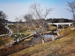 -羊山湖公园