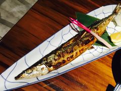 -晶吉·居酒屋·烧鸟·生鱼饭(中山区民主广场店)