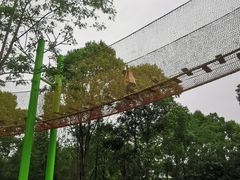 -桤木河湿地公园