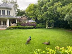 -J Create城市露营咖啡·简餐·宠物(上海动物园店)