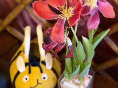 -蒙古大营(朝阳公园店)