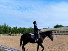 -北京群众马术培训基地