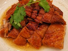 柴火明炉烧鹅-顺德人家食府(黄金广场店)