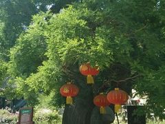 android_upload_pic-封龙山风景区