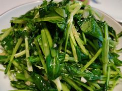 -巷子里小酒馆(繁荣路店)