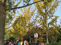 -大兴滨河森林公园