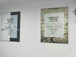 -黑奥秘脱发白发中心