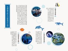 -芜湖新华联大白鲸海洋公园