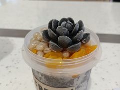 -鲜芋仙(群光广场店)