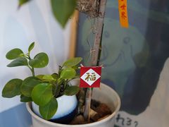 -三花屋 Mihhanaya