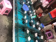 -清平路水族市场