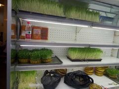-大龙老火锅·总店(龙头寺店)