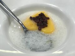 -喜上喜鸡煲翅(吉大店)