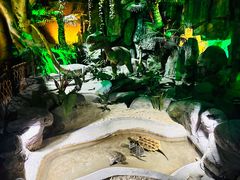 -泉城欧乐堡海洋极地世界