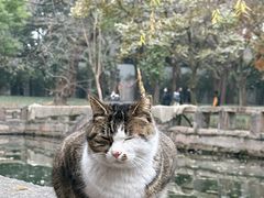 -西园寺