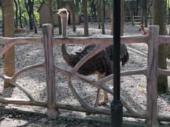 -昆山城市生态森林公园