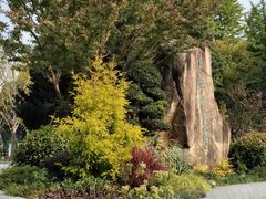 -昆山城市生态森林公园