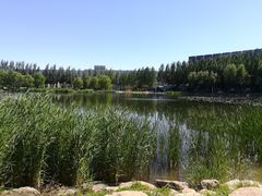 -吉林大学(前卫南区)