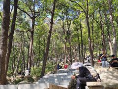 -沂蒙山旅游区云蒙景区(蒙山国家森林公园)