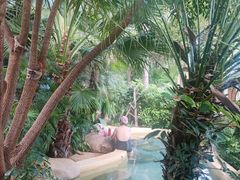 -稷泽·海丽宾雅温泉度假酒店