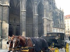 -斯蒂芬主教座堂(Stephansdom)