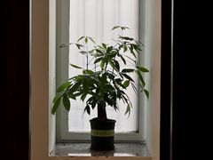 -Again Coffee Roaster(香蜜湖店)