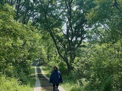 -青龙山国家森林公园