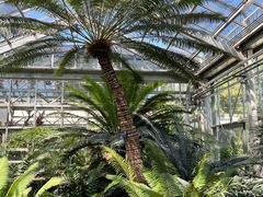 -国家植物园南园