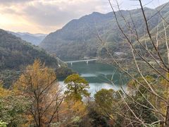 -四明山国家森林公园