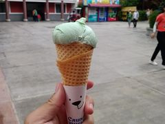 -郑州方特梦幻王国