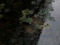 -元生咖啡(陶溪川店)