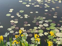 -白鹭湾湿地公园