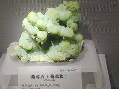 -湖南省地质博物馆