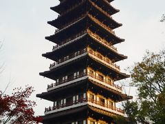 -宜兴龙背山森林公园